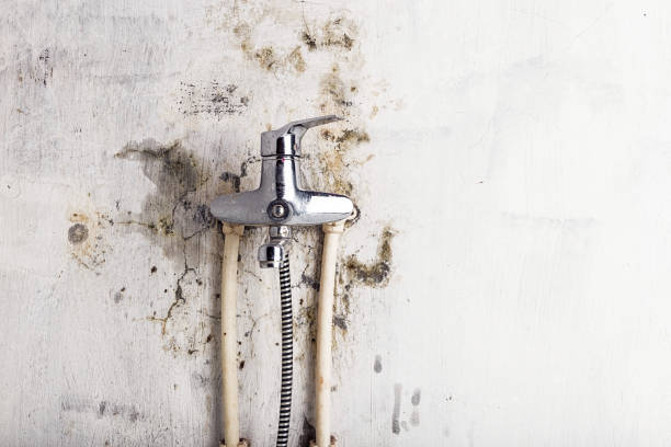 Certified Mold Removal in Buford, GA