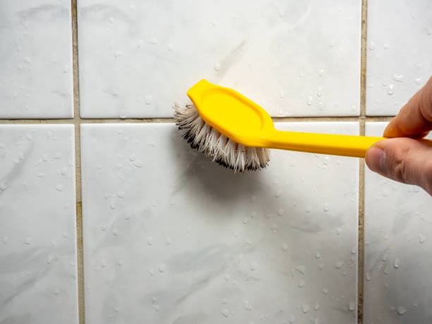 Best Commercial Mold Removal  in Buford, GA