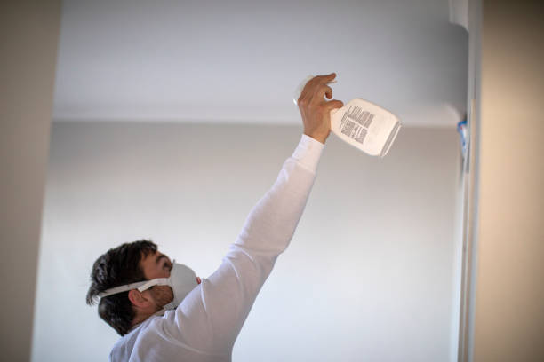 Best Affordable Mold Removal  in Buford, GA