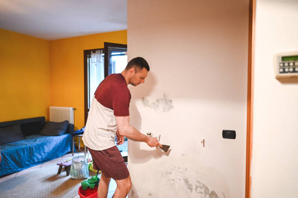 Best Residential Mold Removal  in Buford, GA